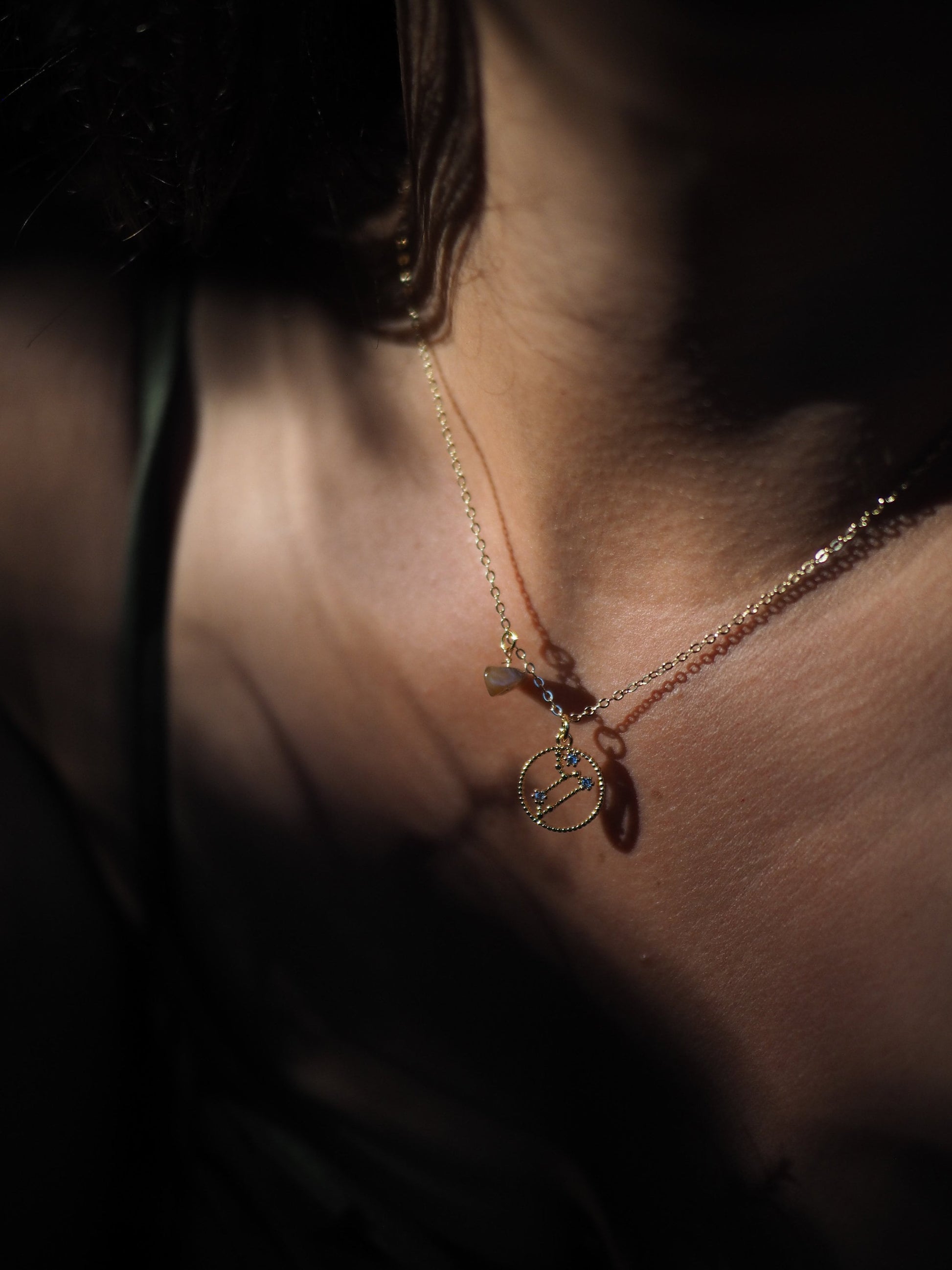 Gold filled Zodiac Necklace, Birthstone horoscope Necklace, Constellation Necklace Birth Sign, Christmas Gift Idea